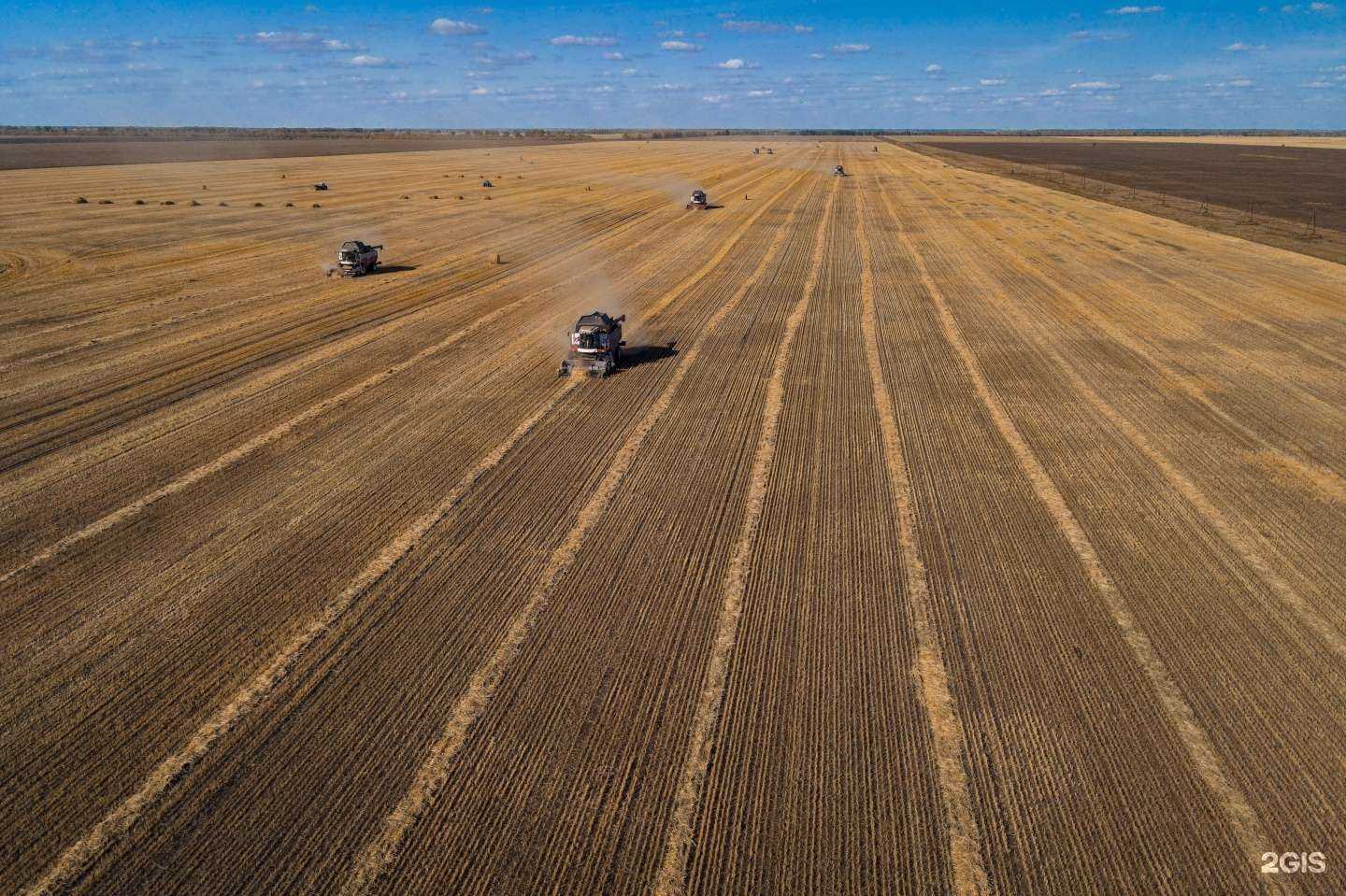 Отзывы на компанию Омский аграрный научный центр в г. Омск c фото