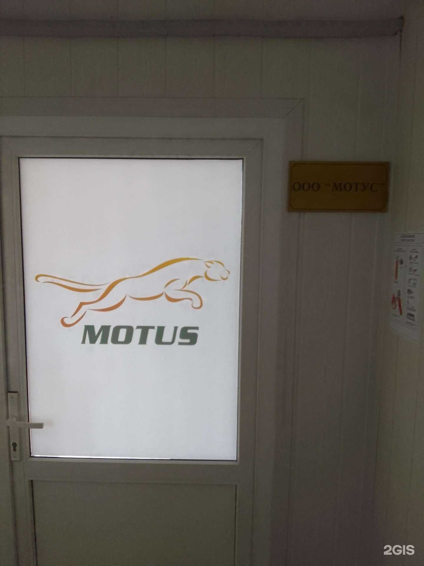 Отзывы на компанию Мотус в г. Белгород c фото