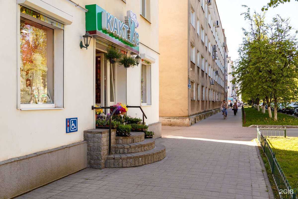 Отзывы на компанию Кактус flower store в Великом Новгороде c фото - фотография 2 из 2