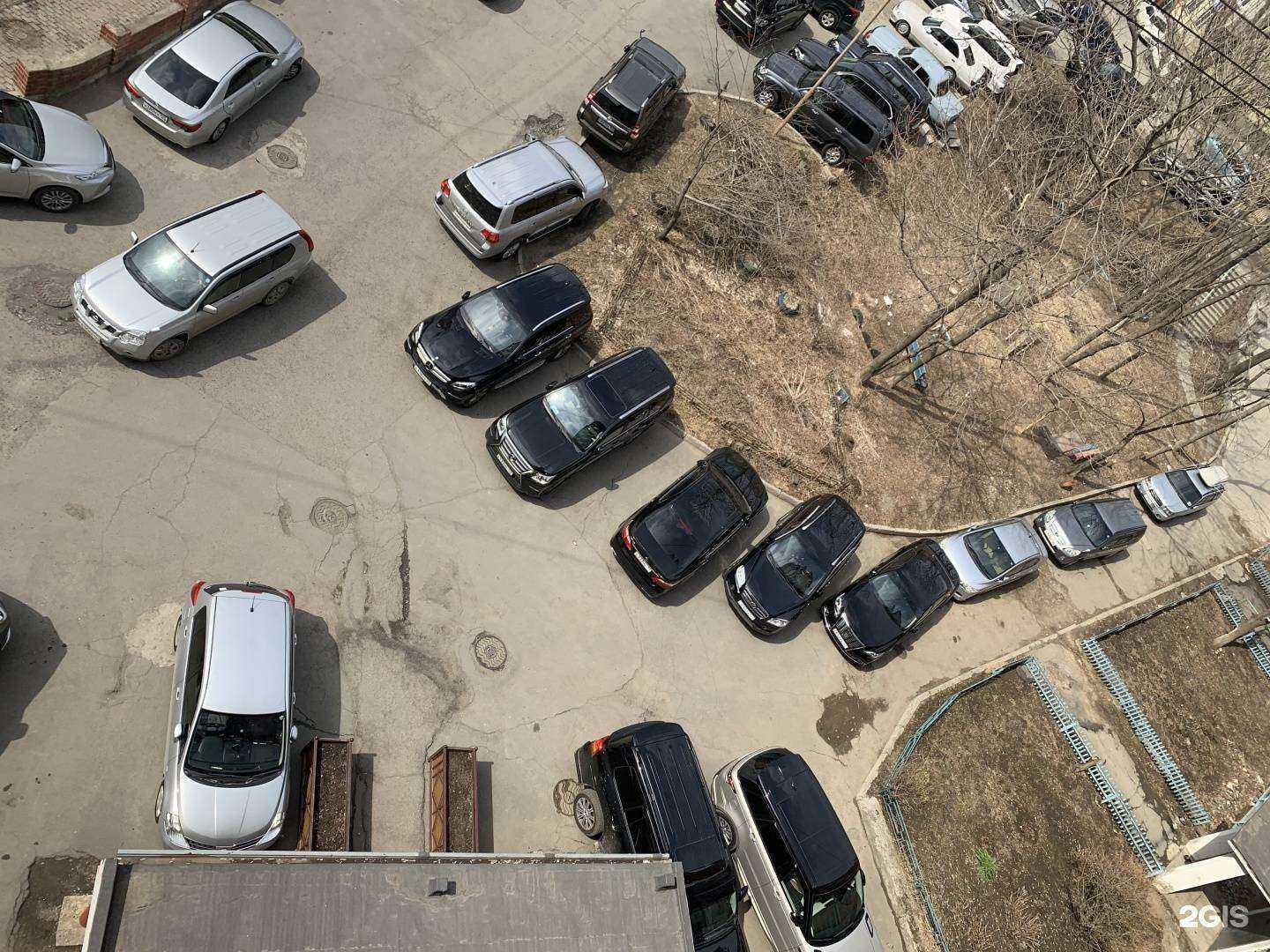 Отзывы на компанию Пеликан в Владивостоке c фото - фотография 2 из 2