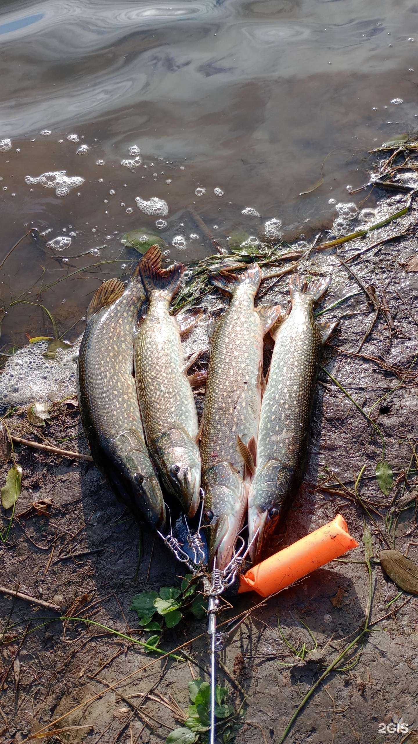 Отзывы на компанию Рыбак в Кемерове c фото