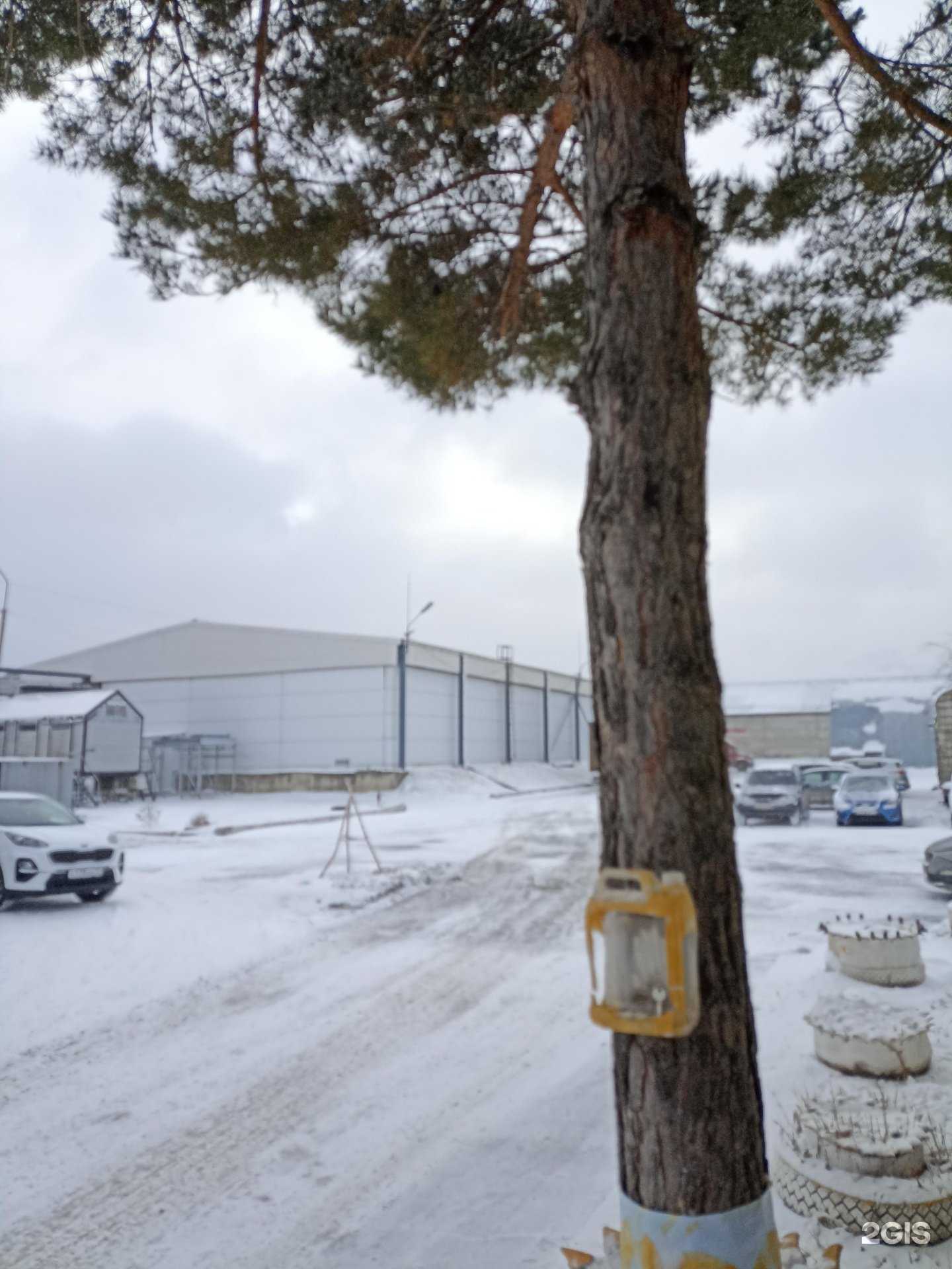 Отзывы на компанию Pro100zbi в г. Тюмень c фото