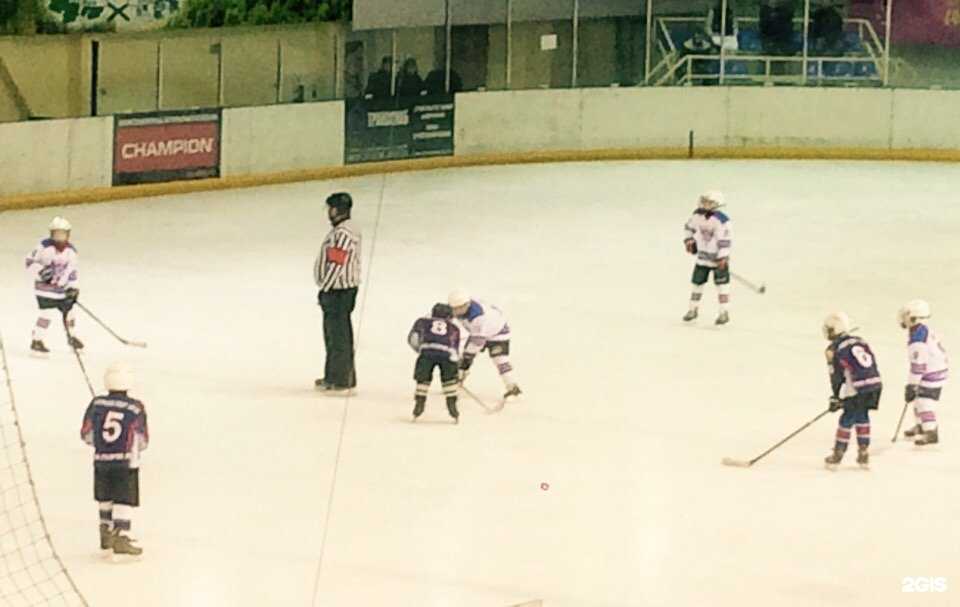 Отзывы на компанию Спортивная школа по хоккею с шайбой в Смоленске c фото