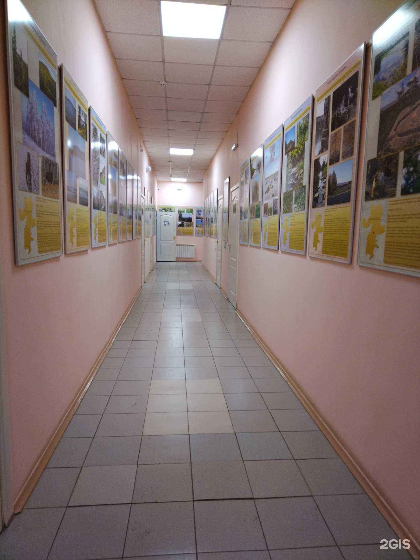 Отзывы на компанию Центр детский экологический в Челябинске c фото