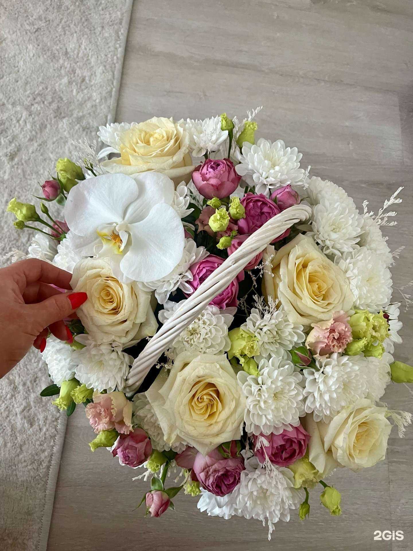 Отзывы на компанию Цветы Кубань в г. Искитим c фото