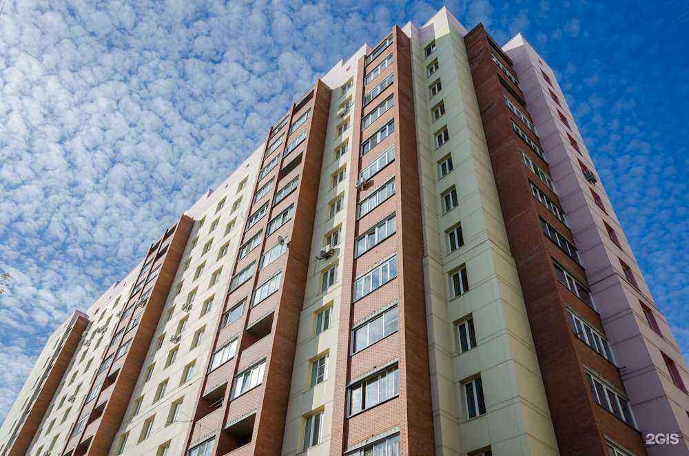 Отзывы на компанию Вип питомец в Новосибирске c фото - фотография 2 из 2