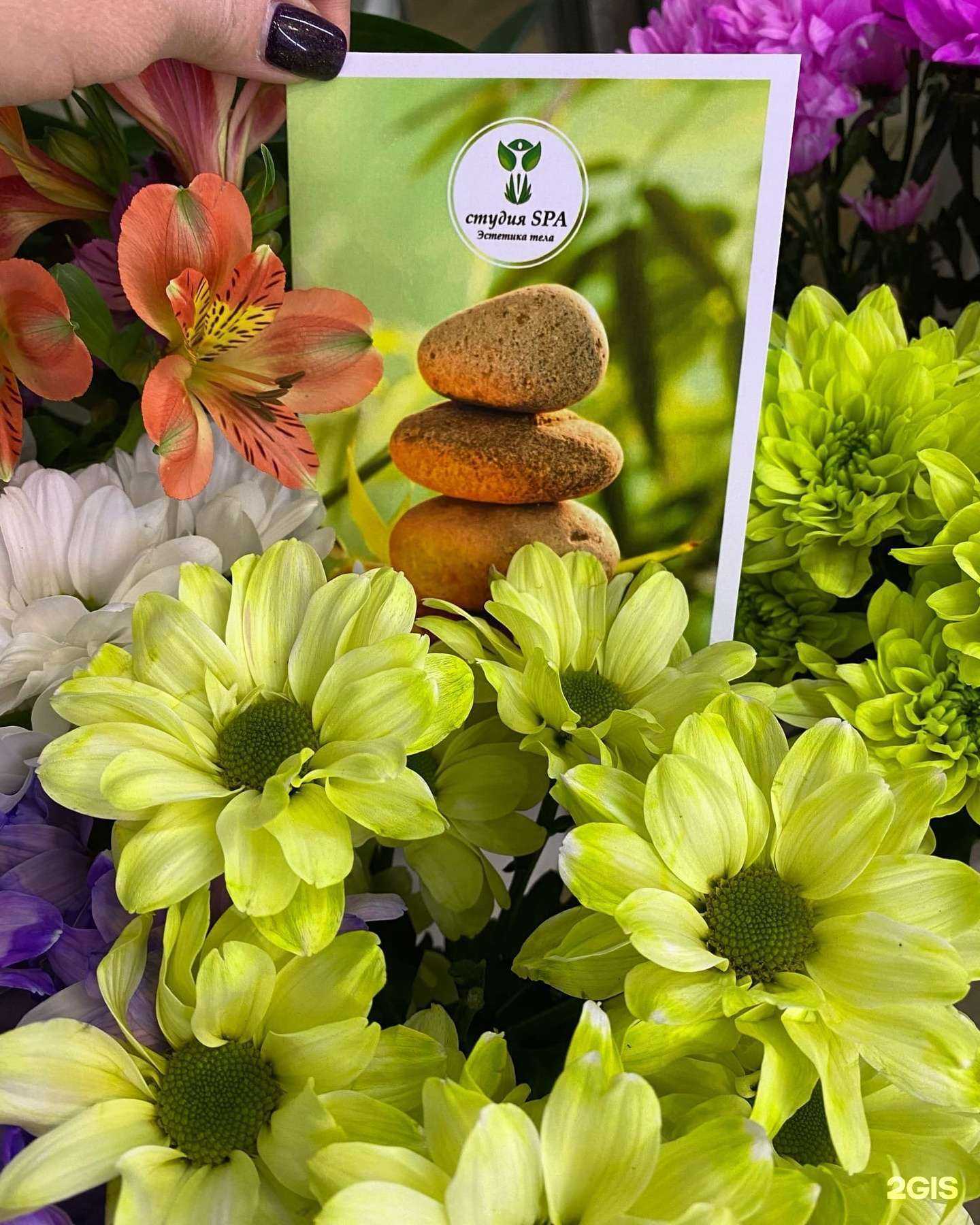 Отзывы на компанию Эстетика тела в г. Димитровград c фото