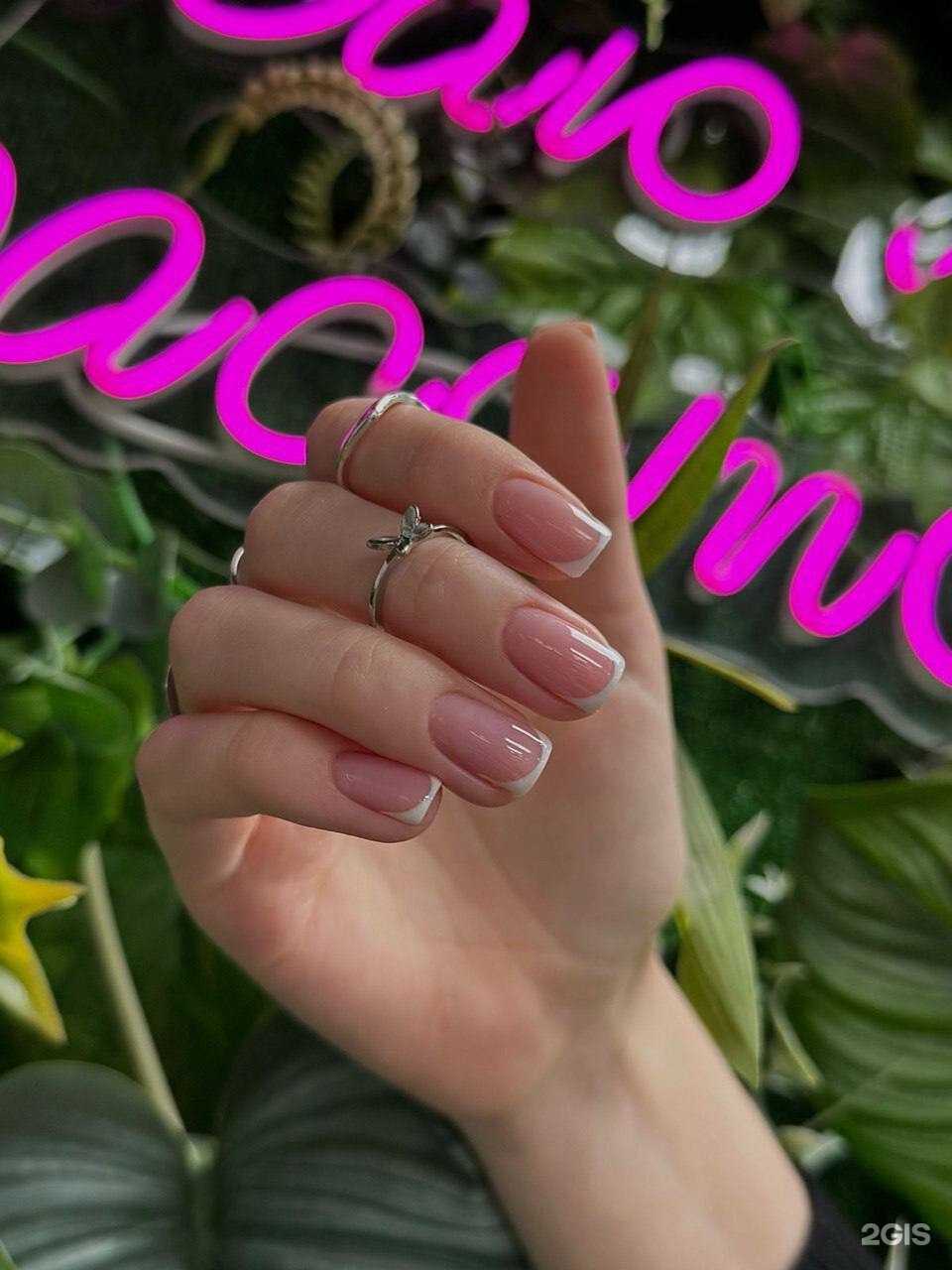 Отзывы на компанию Saxap в Новосибирске c фото