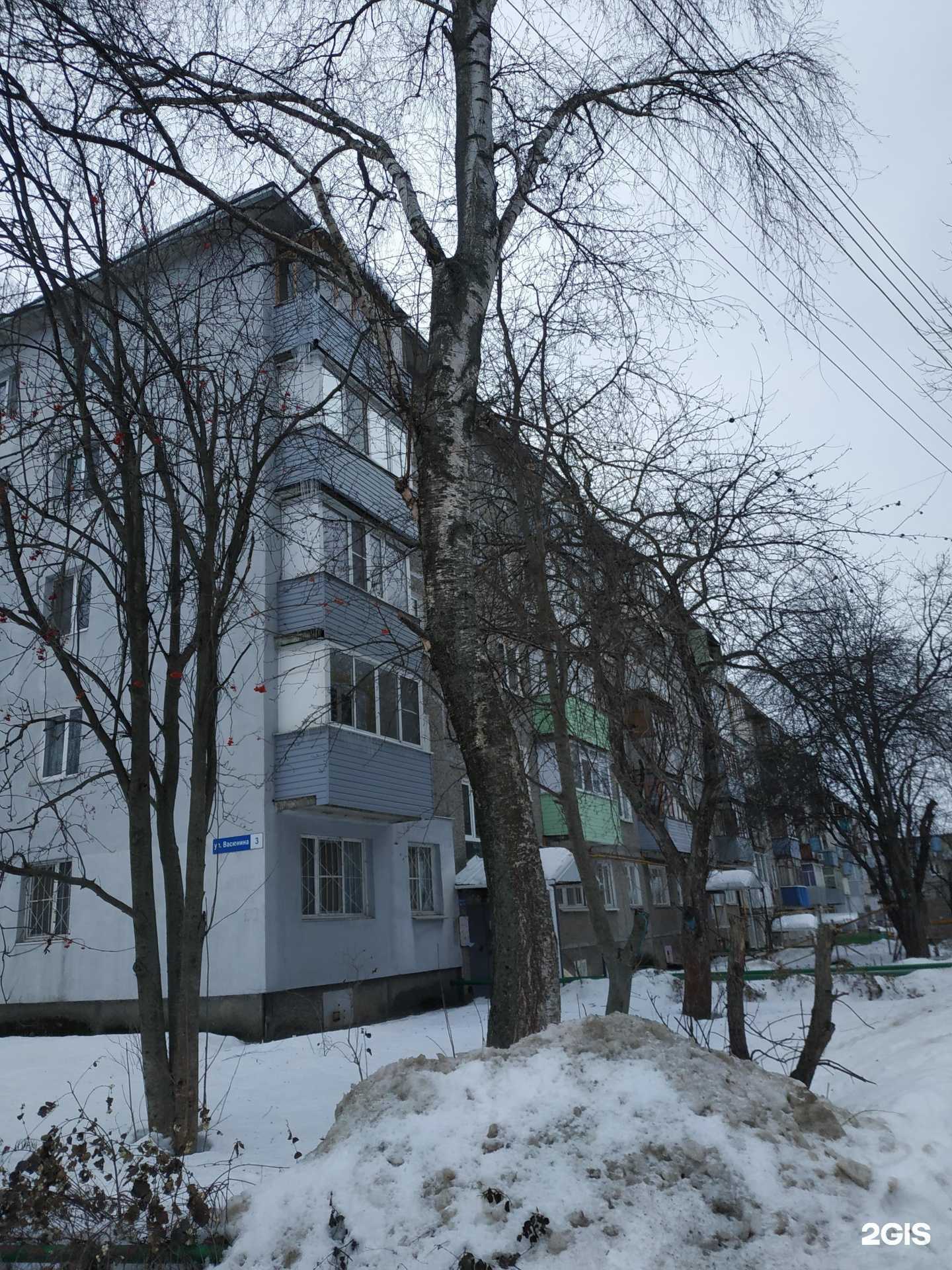 Отзывы на компанию ВЕТ НЕОТЛОЖКА в Нижнем Новгороде c фото - фотография 2 из 2