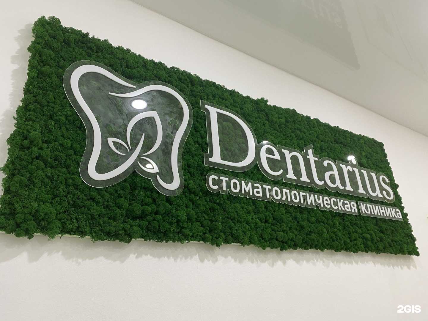 Отзывы на компанию Dentarius в г. Нижний Тагил c фото