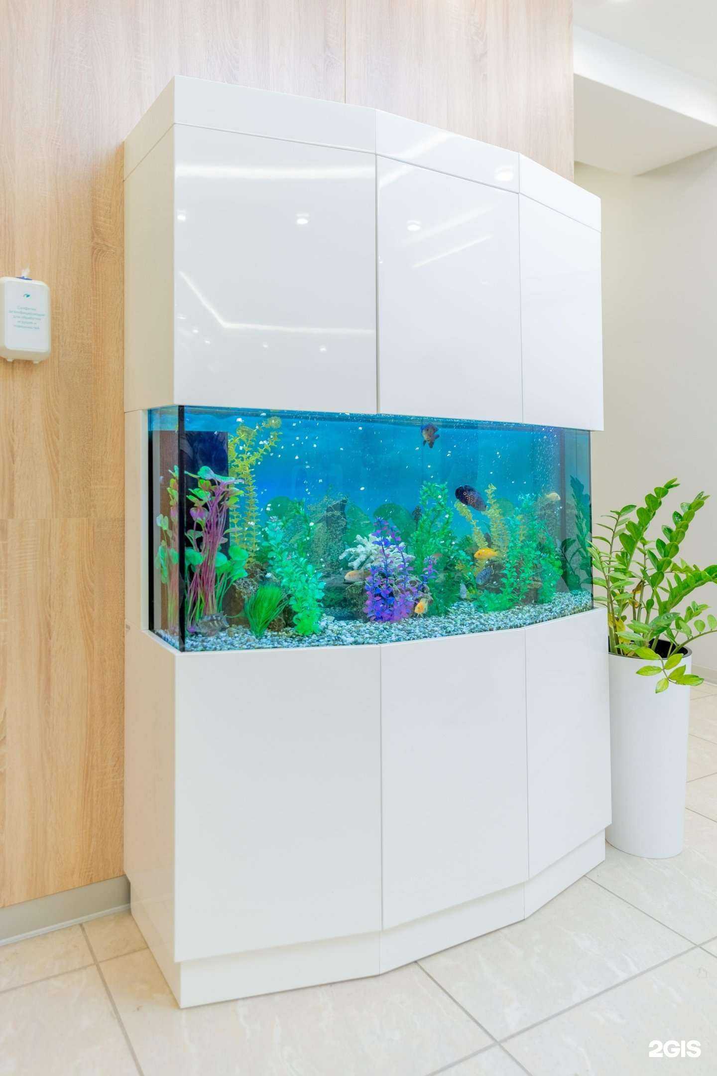 Отзывы на компанию Здравица в г. Новосибирск c фото