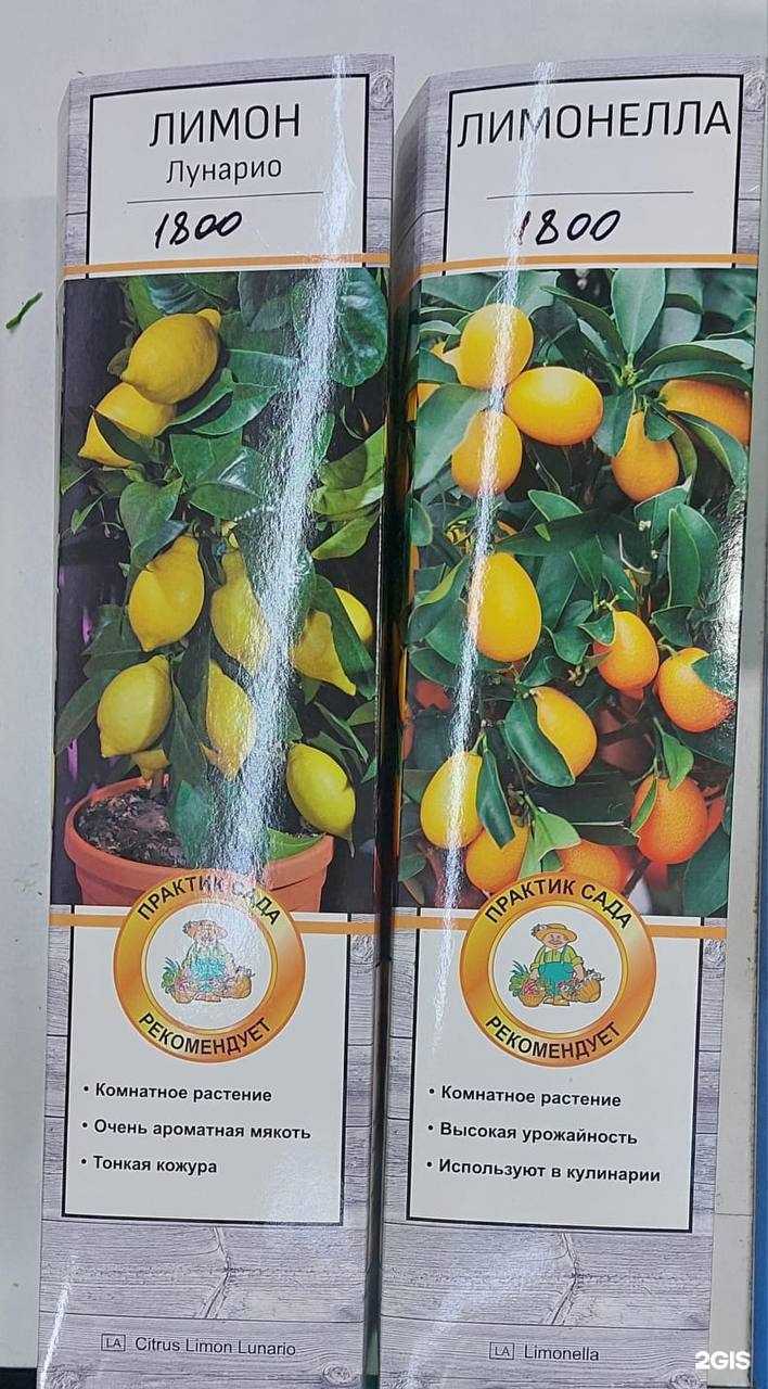 Отзывы на компанию Мир семян в г. Набережные Челны c фото