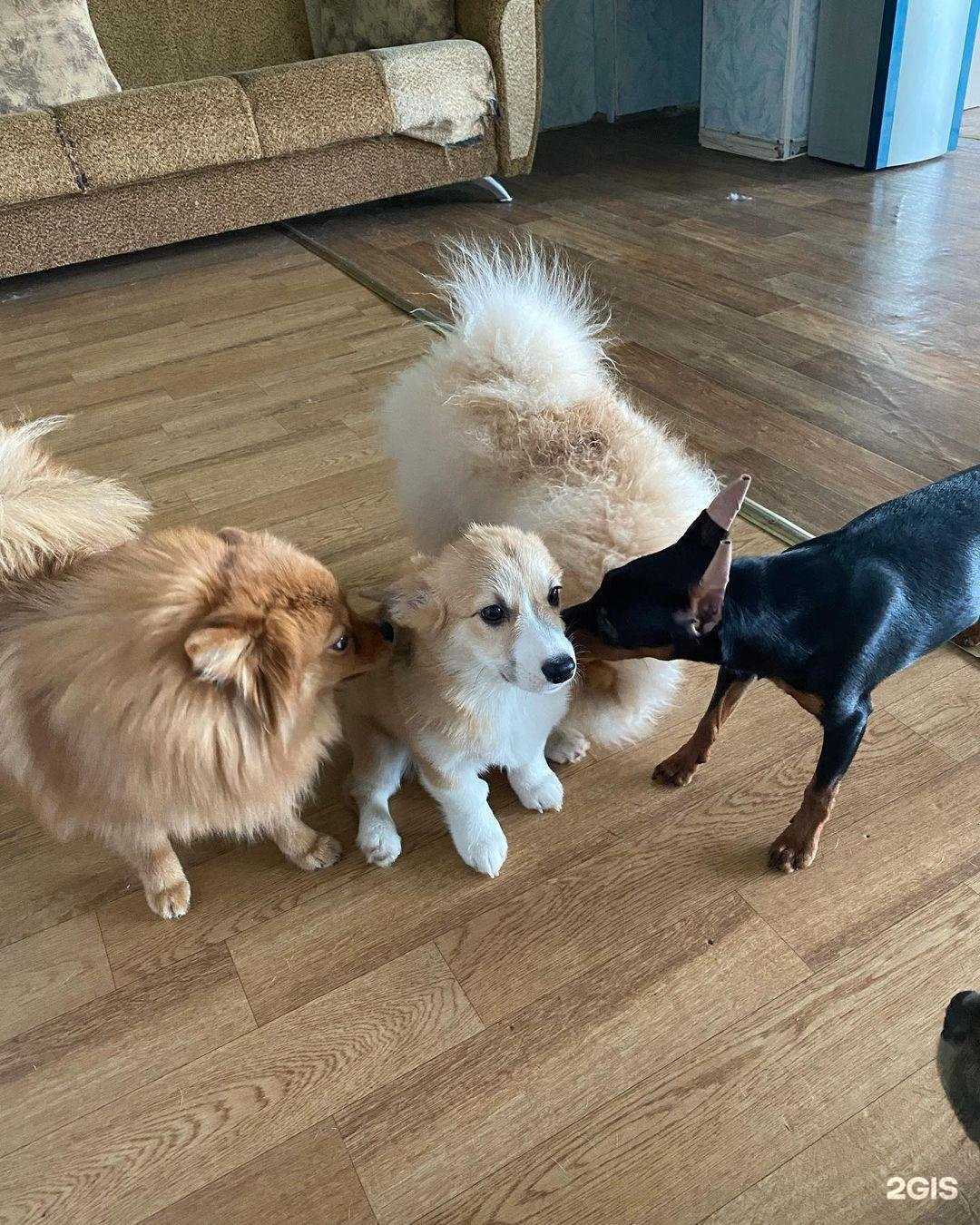 Отзывы на компанию Курганский хендлинг-зал в Кургане c фото