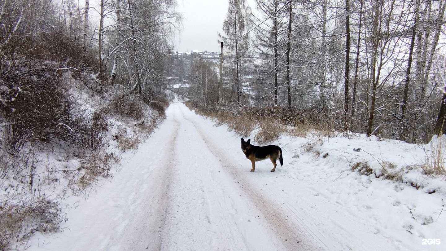 Отзывы на компанию Березка в г. Красноярск c фото