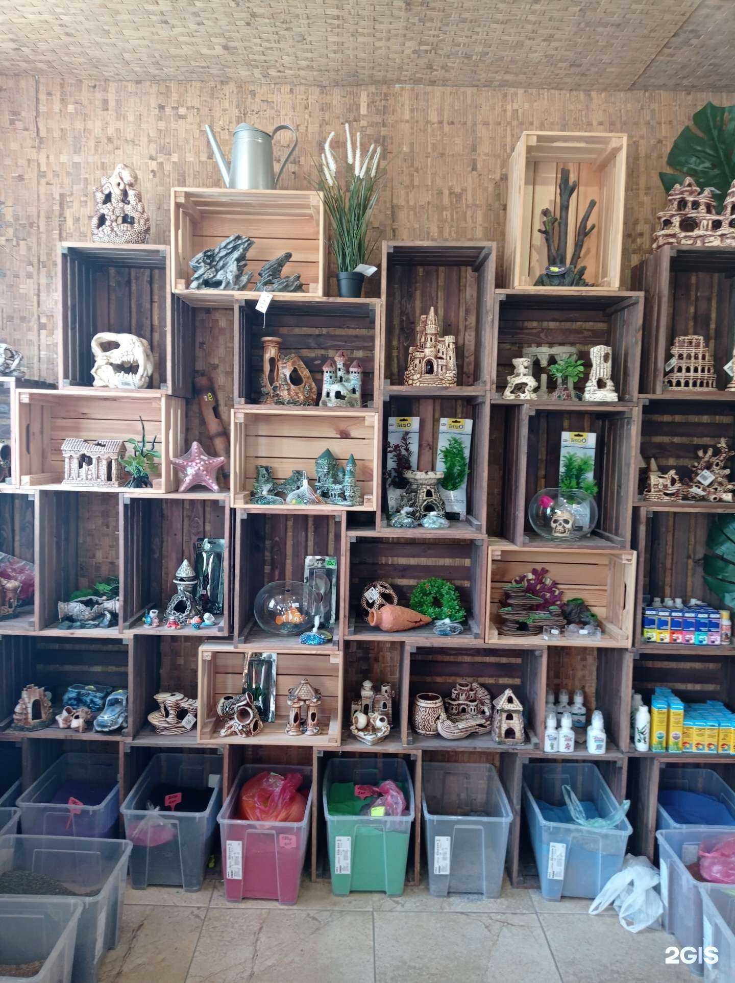 Отзывы на компанию Кот и пёс в Гатчине c фото