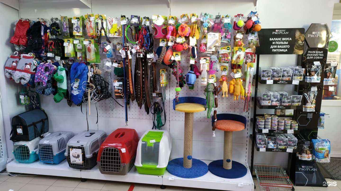 Отзывы на компанию Питомцы в Ростове-на-Дону c фото