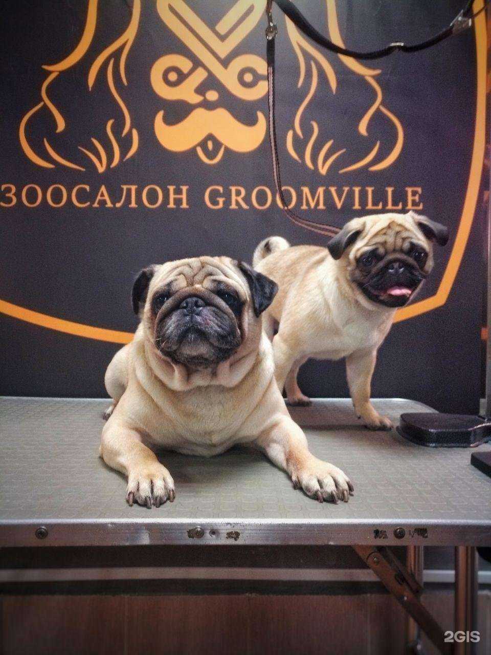 Отзывы на компанию Groomville в Владивостоке c фото