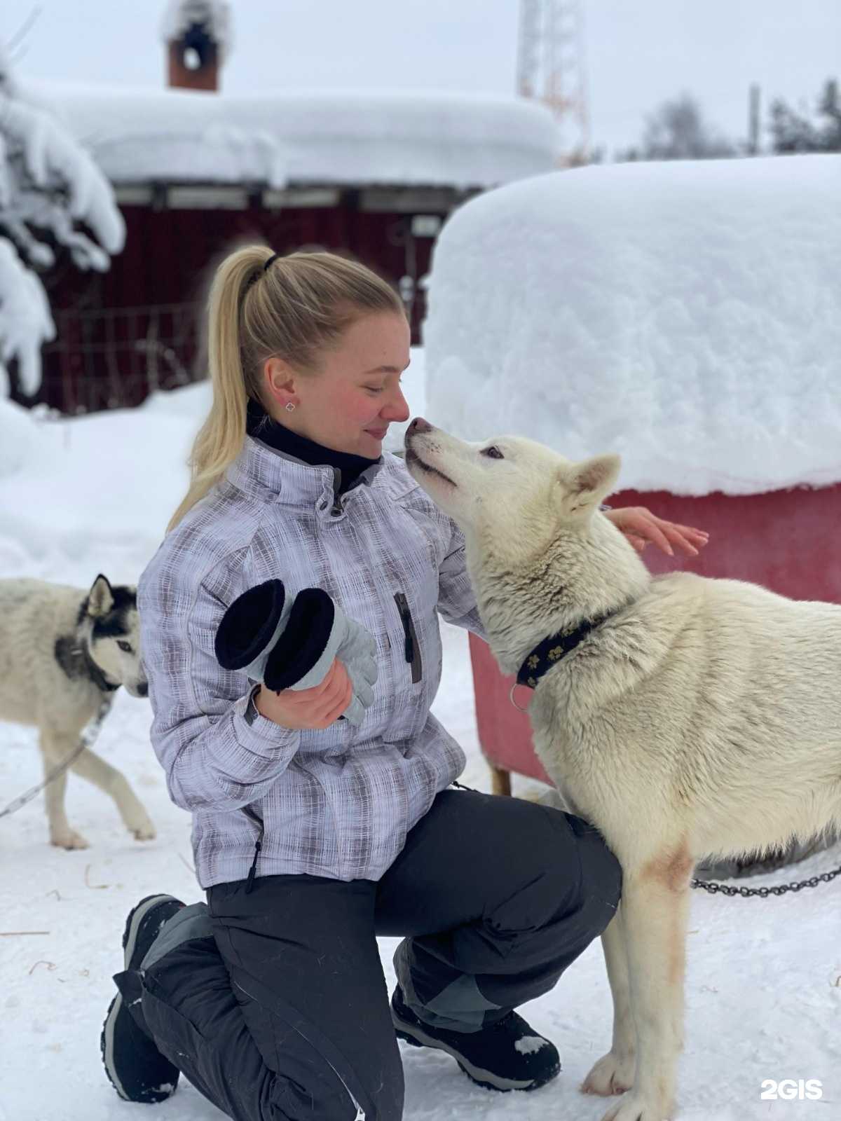Отзывы на компанию Путешествия Pro в Петрозаводске c фото