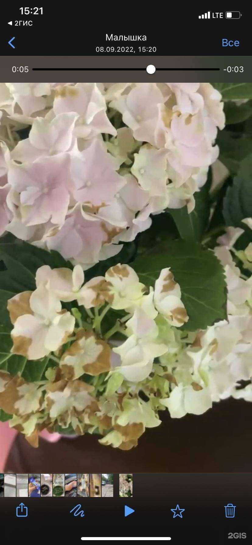 Отзывы на компанию Крона в Красноярске c фото