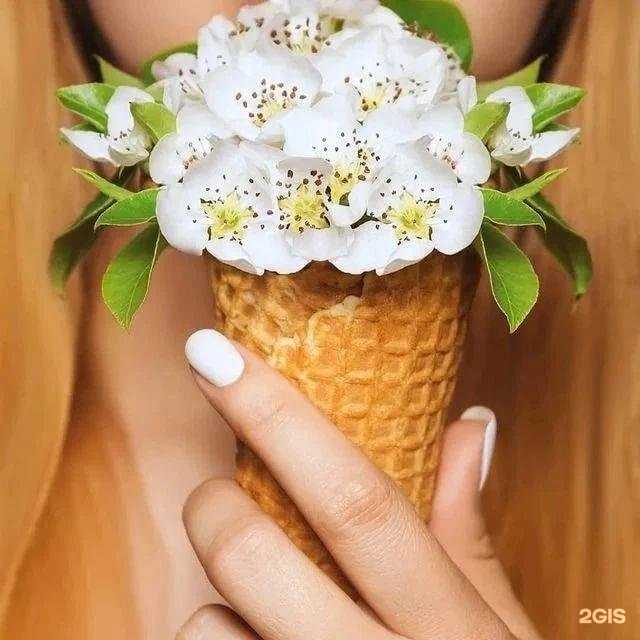 Отзывы на компанию Янус 12 в г. Йошкар-Ола c фото