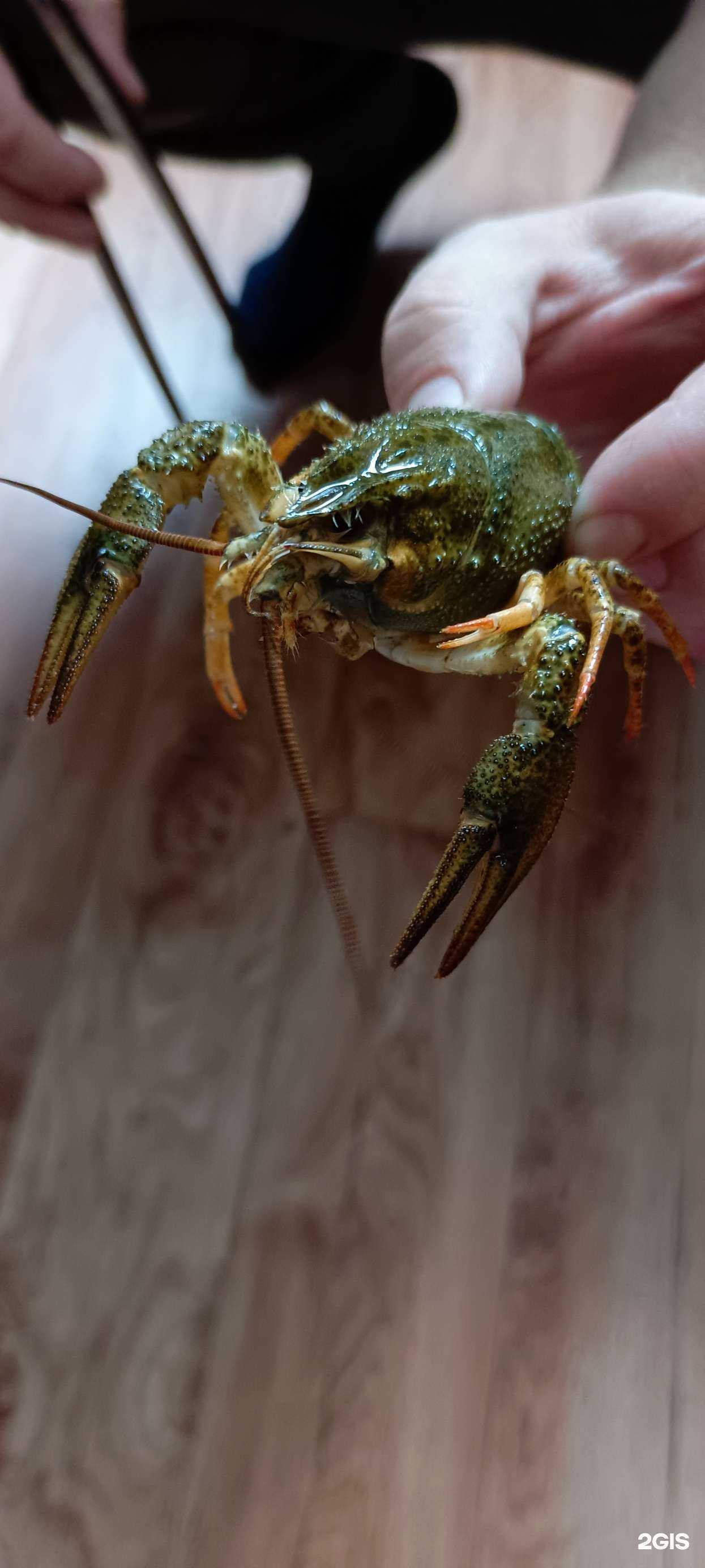 Отзывы на компанию Наутилус в г. Новосибирск c фото