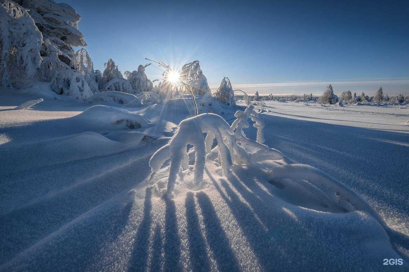 Отзывы на компанию Деснянка в г. Брянск c фото