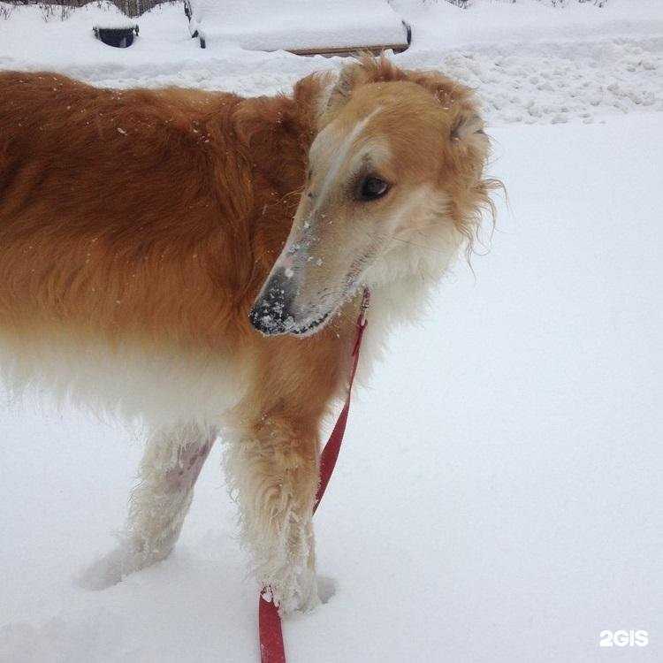 Отзывы на компанию Друзья в г. Белгород c фото