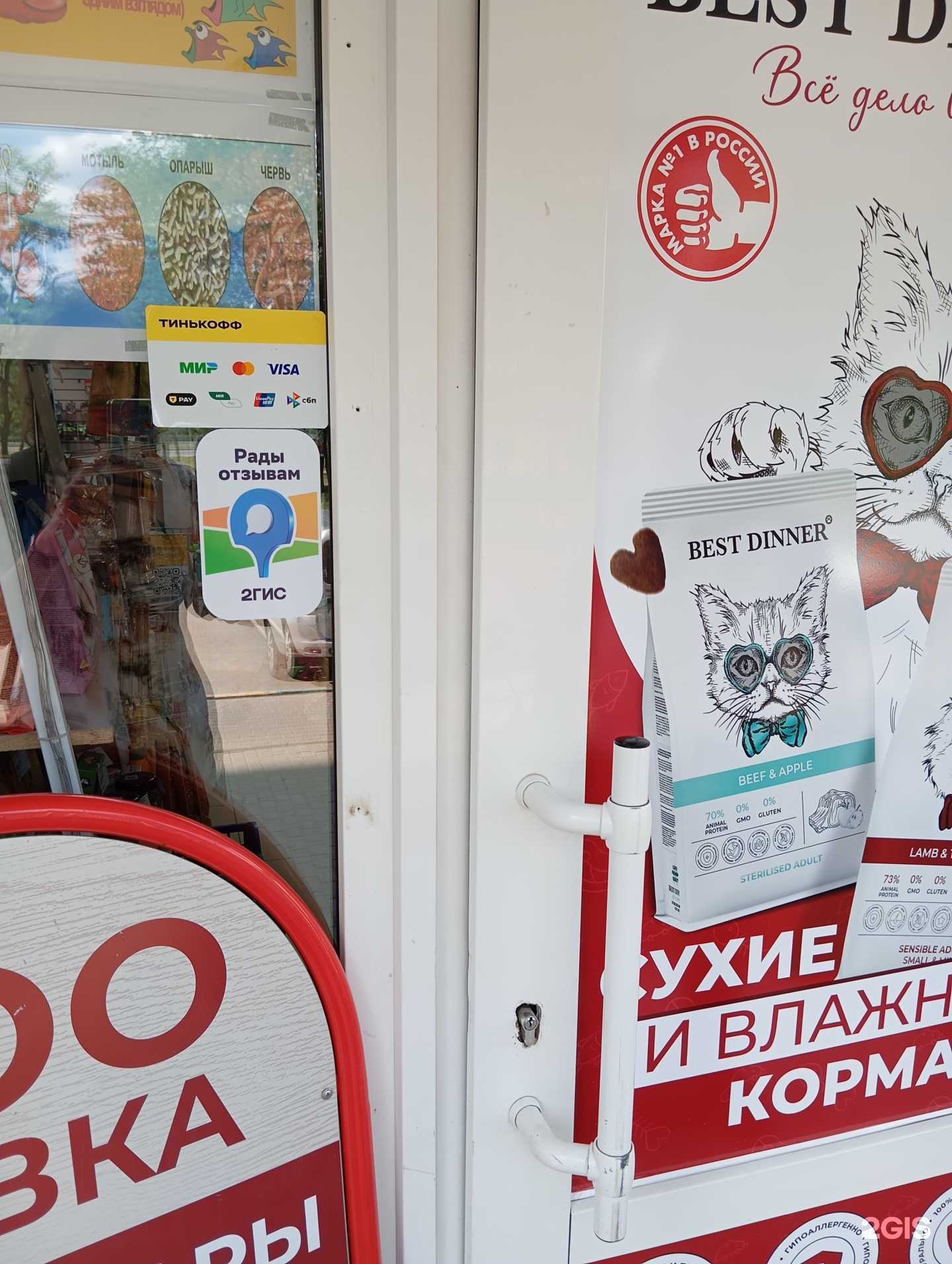 Отзывы на компанию Кот рыбака в г. Воронеж c фото