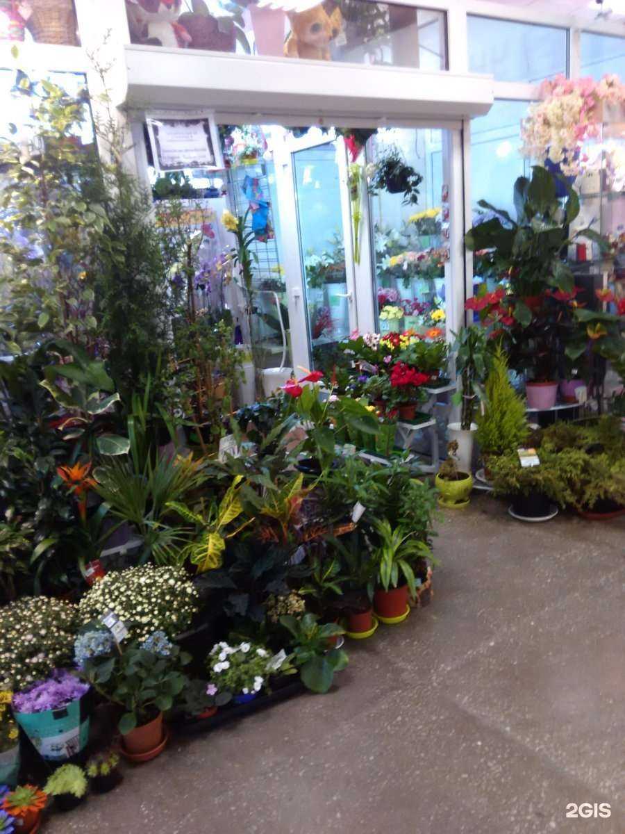 Отзывы на компанию Flowers for you в Находке c фото