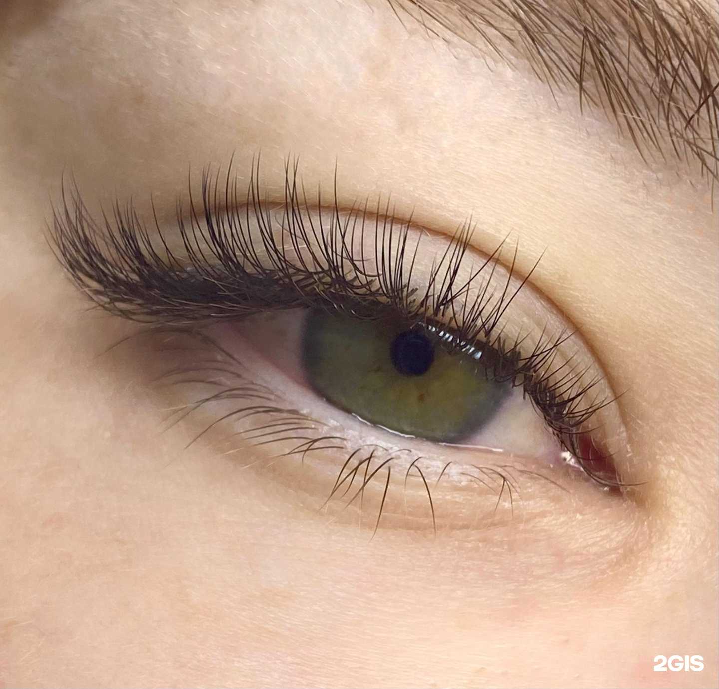 Отзывы на компанию Perfect Lashes в Улан-Удэ c фото