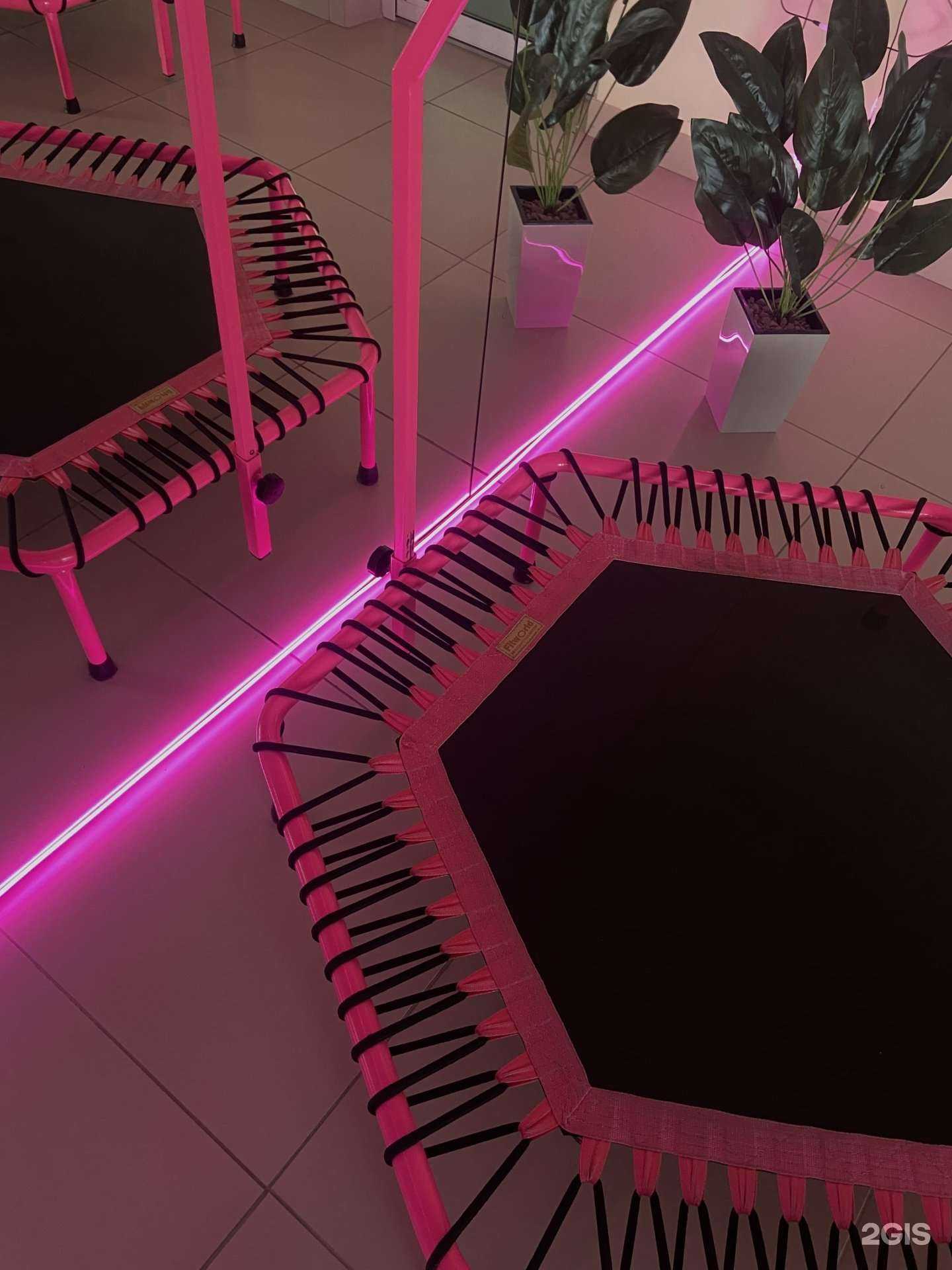 Отзывы на компанию Go Fit в Ижевске c фото