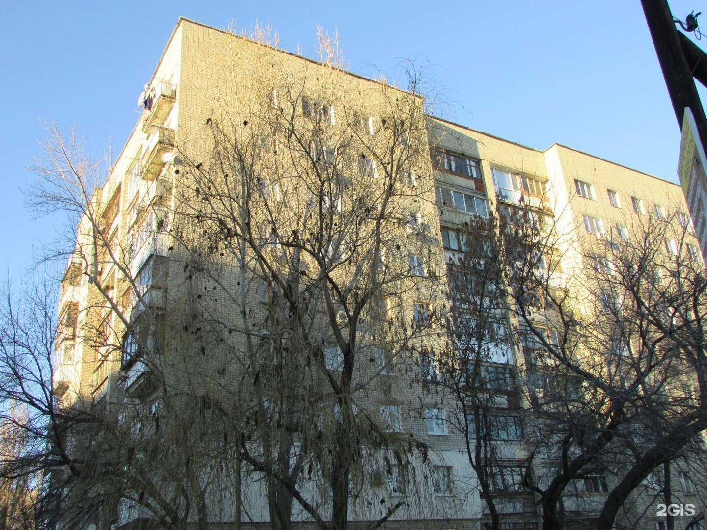 Отзывы на компанию Цветопт 24 в Саратове c фото - фотография 2 из 2