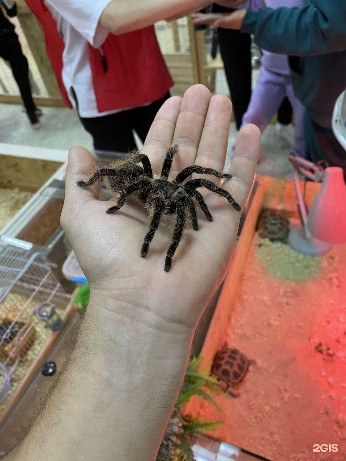 Отзывы на компанию Уран в Якутске c фото - фотография 2 из 2