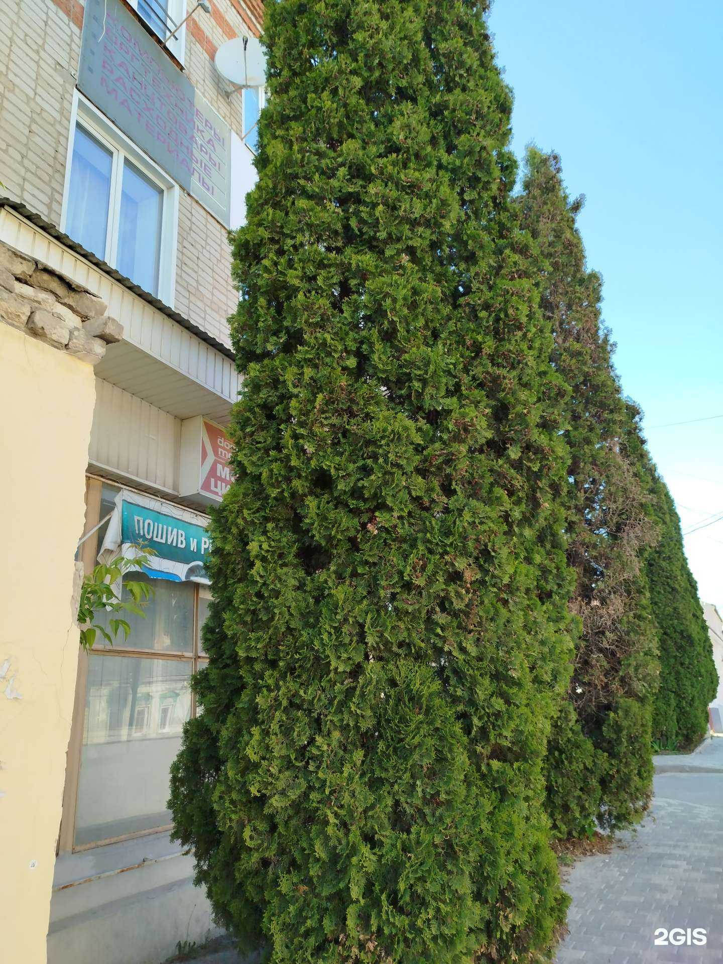 Отзывы на компанию Кристалл Елец в Елеце c фото - фотография 2 из 2