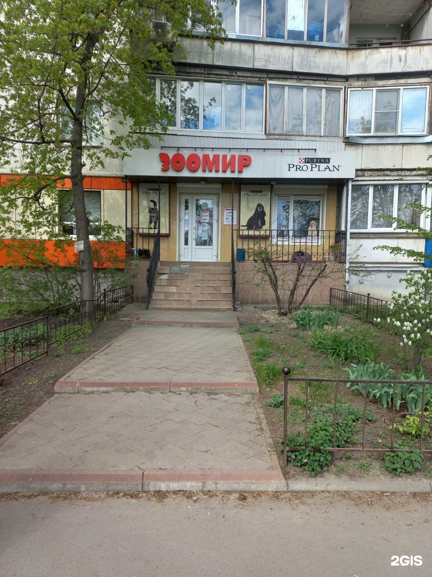 Отзывы на компанию Зоомир в г. Воронеж c фото