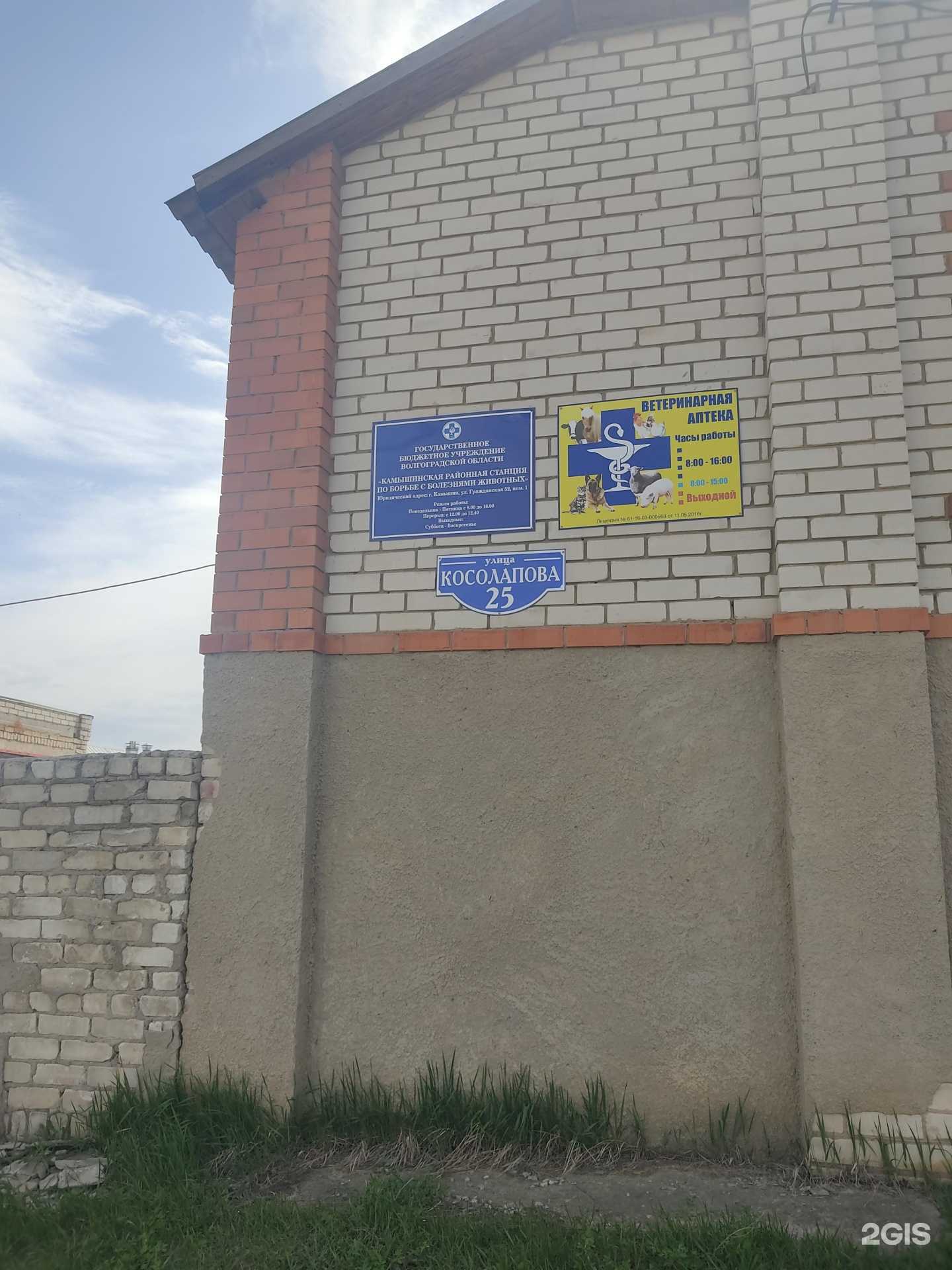 Отзывы на компанию Ветеринарная станция в г. Камышин c фото