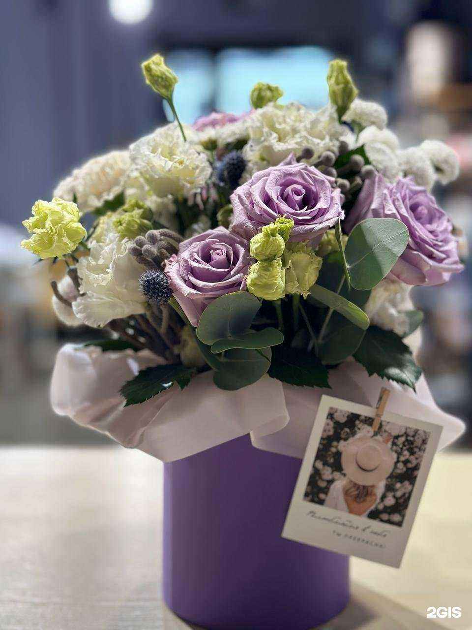 Отзывы на компанию София в г. Петрозаводск c фото