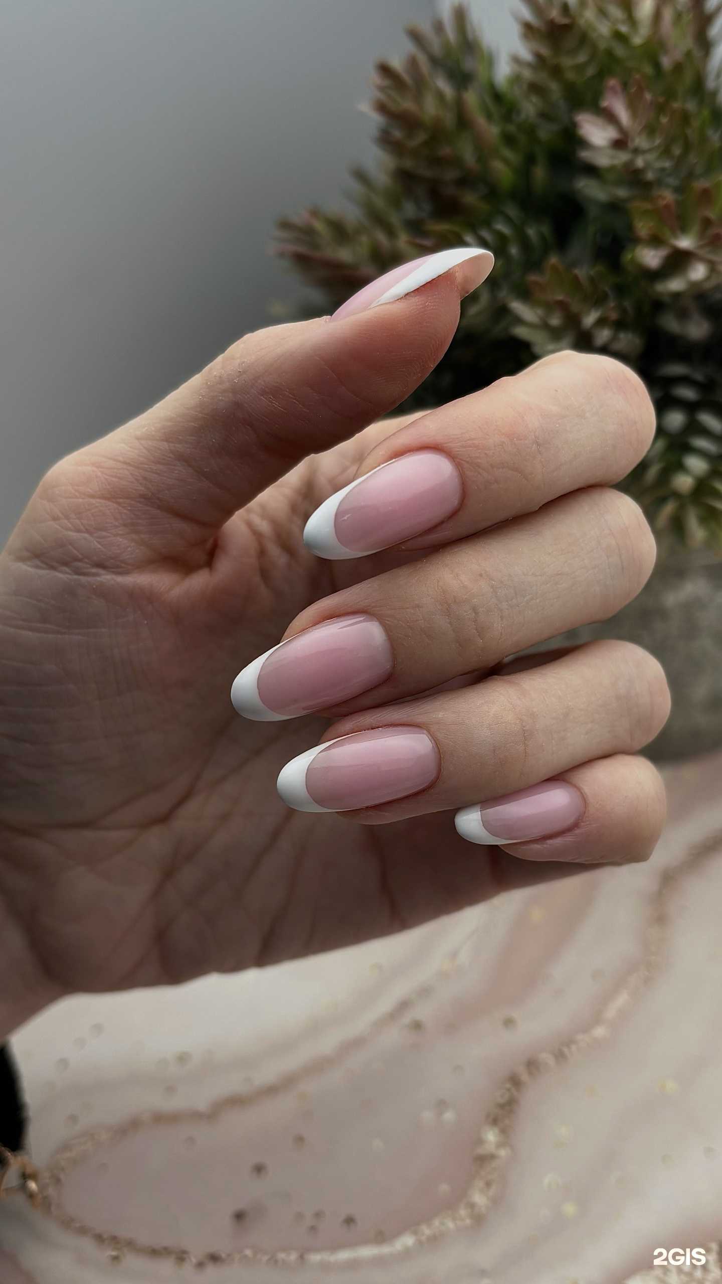 Отзывы на компанию dtnails в Южно-Сахалинске c фото