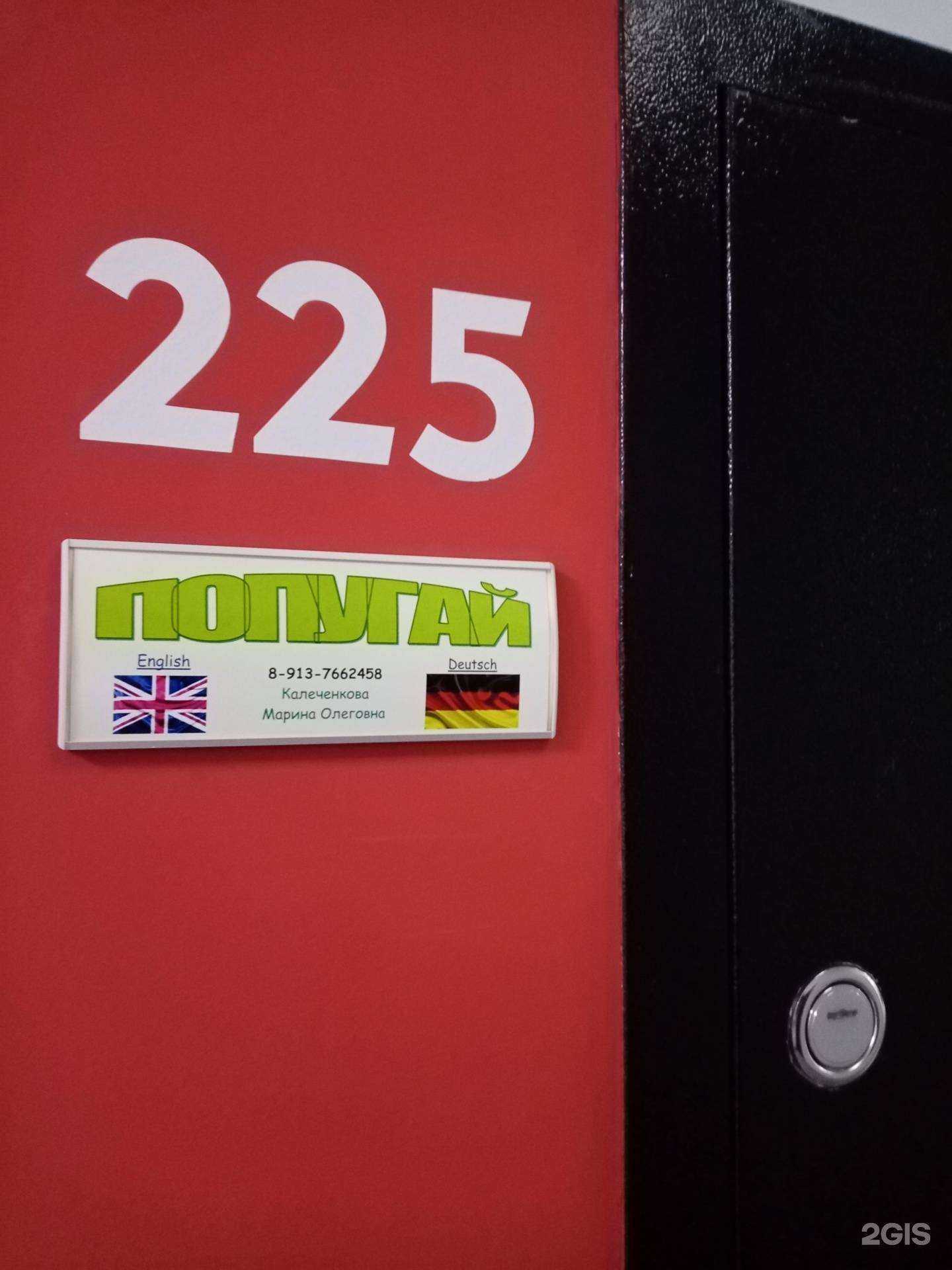 Отзывы на компанию Попугай в Новосибирске c фото