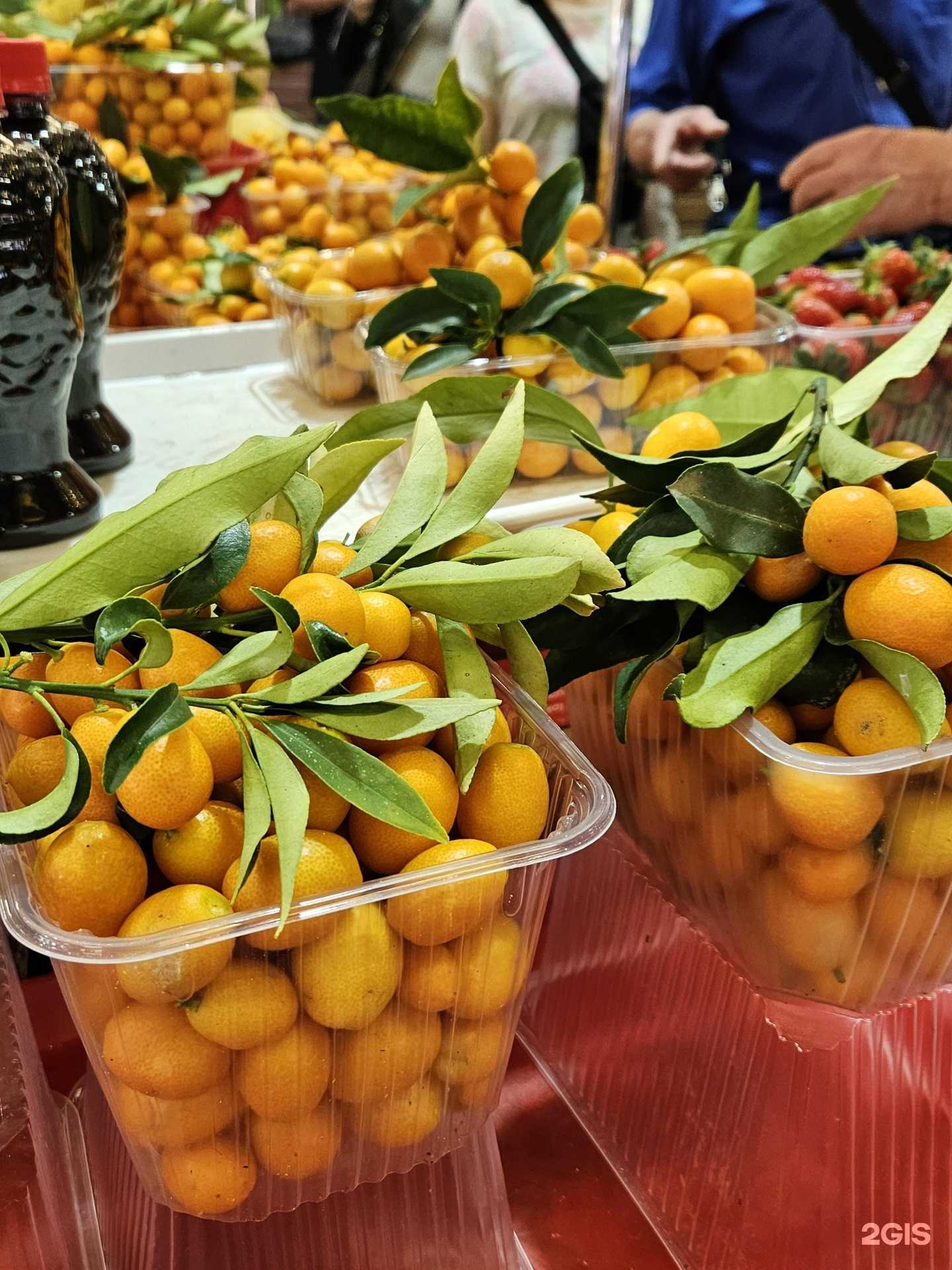 Отзывы на компанию Цветочный павильон в Сочи c фото - фотография 2 из 2