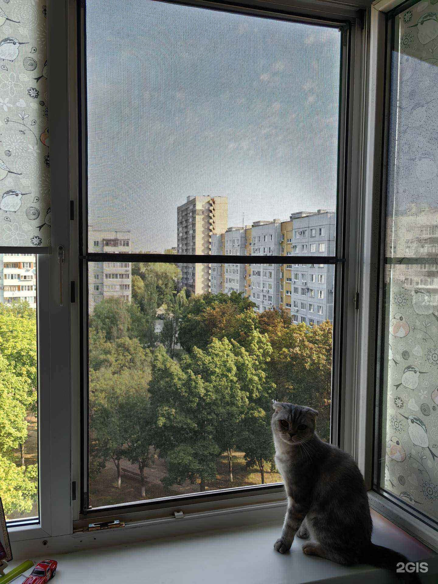 Отзывы на компанию Метр в Тольятти c фото