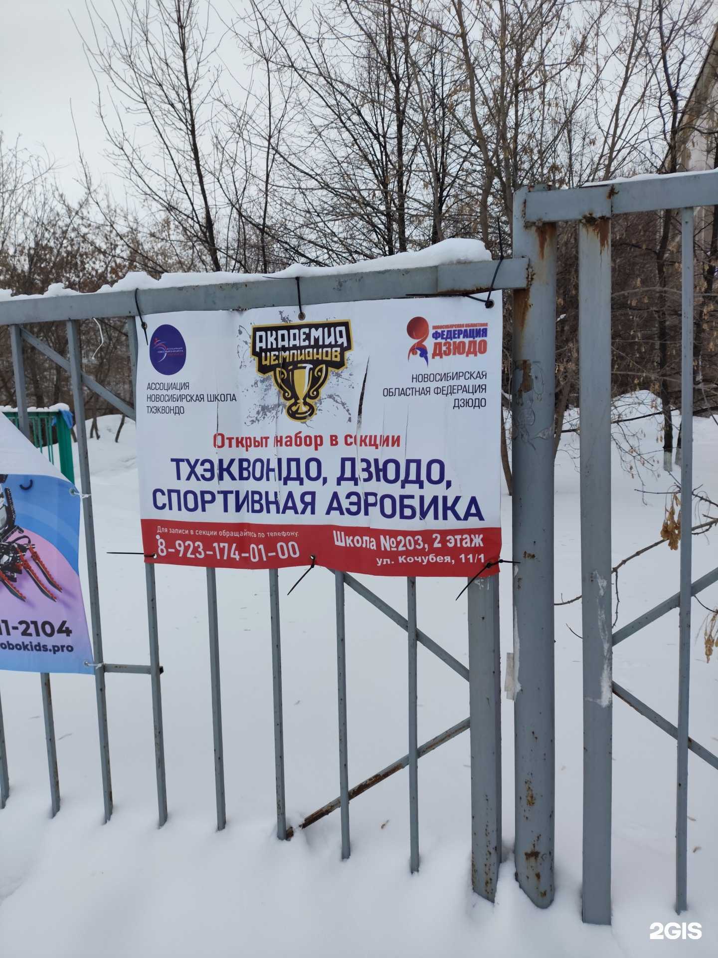 Отзывы на компанию Академия чемпионов в Новосибирске c фото