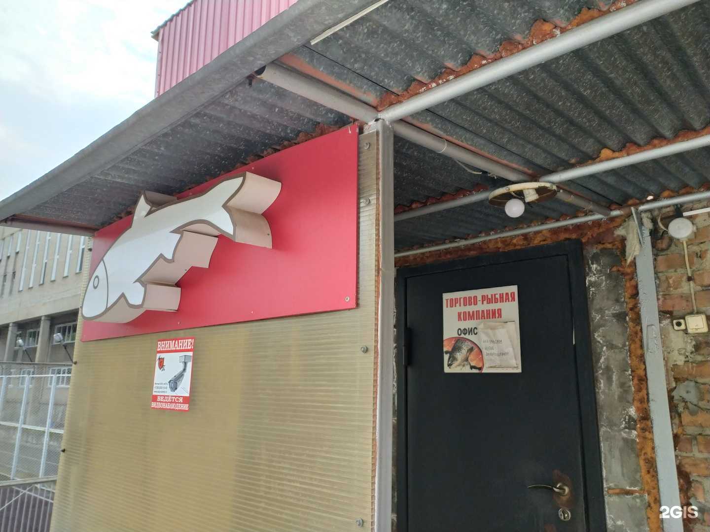 Отзывы на компанию Этрон в г. Новосибирск c фото