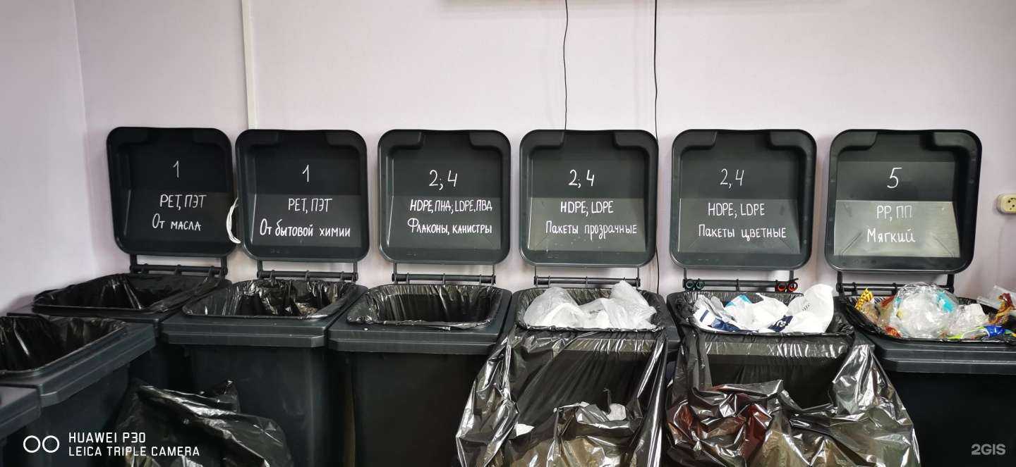 Отзывы на компанию Птичка в Сургуте c фото