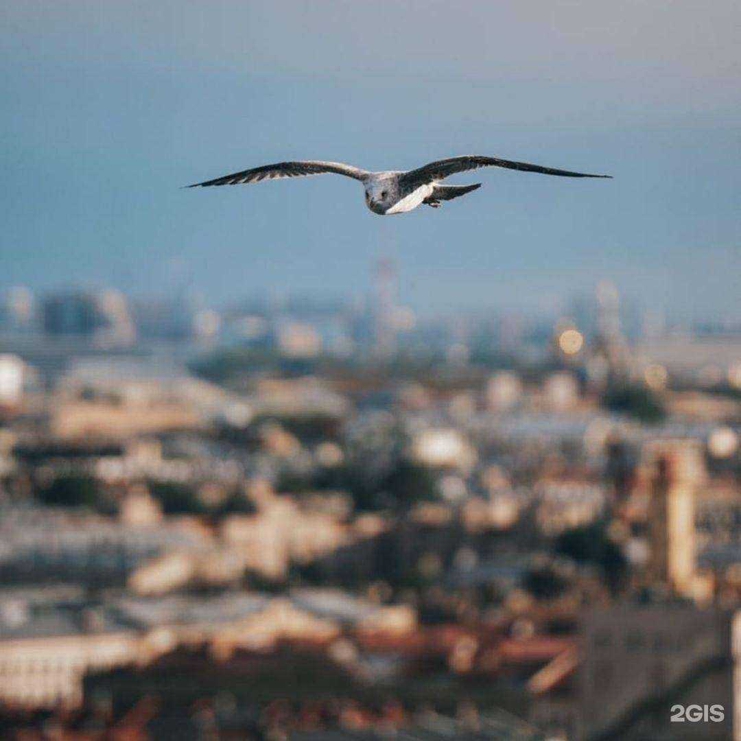 Отзывы на компанию Первая канцелярская компания в г. Орёл c фото