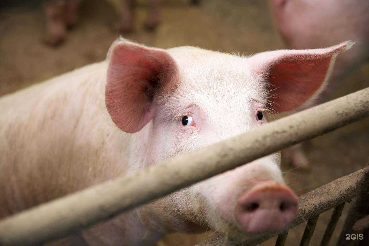 Отзывы на компанию Восток в Волгограде c фото