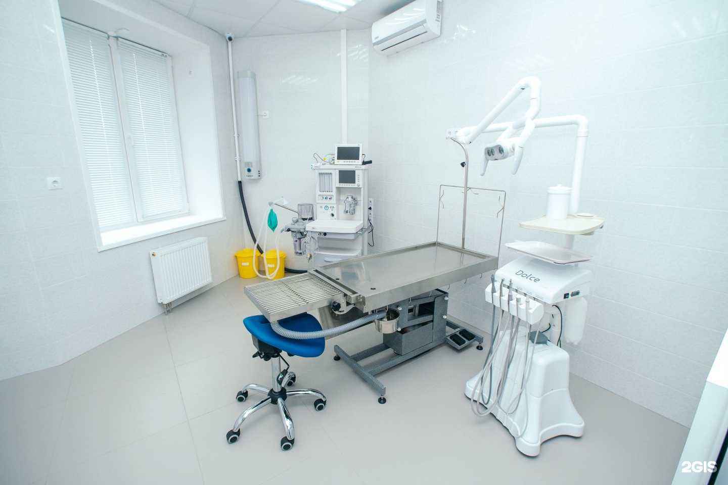 Отзывы на компанию Зверодент в г. Хабаровск c фото