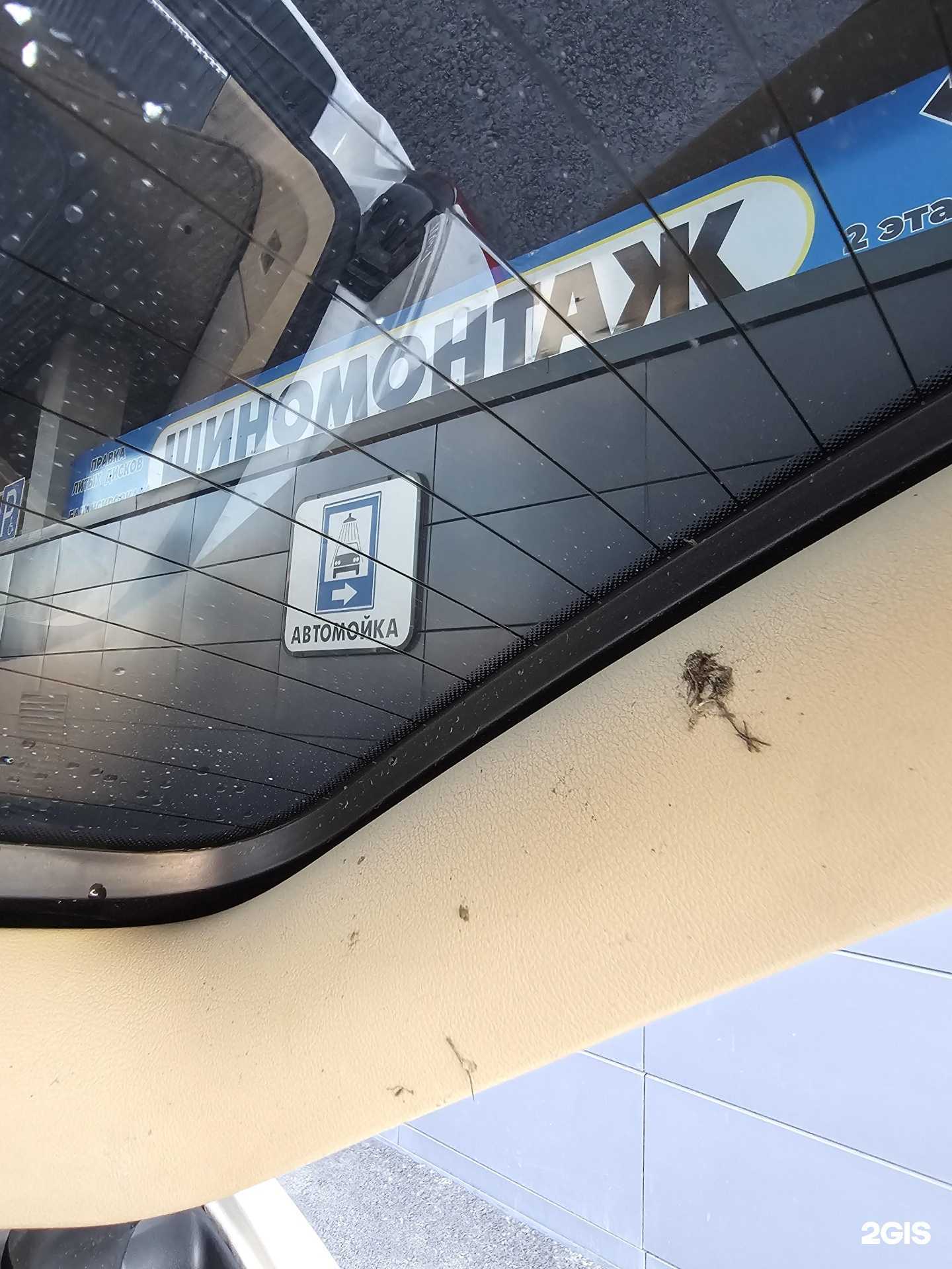 Отзывы на компанию Пионер в Барнауле c фото