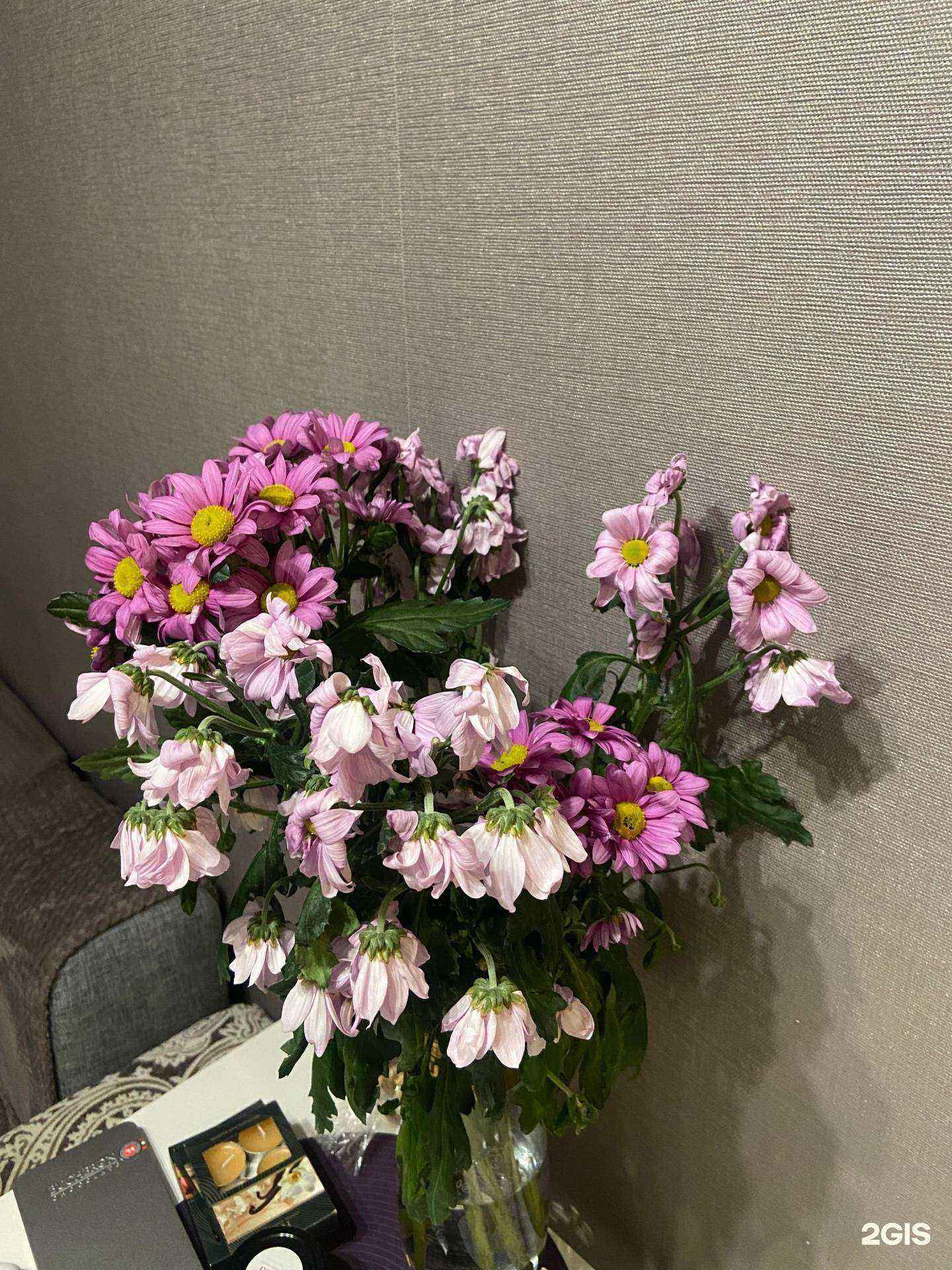 Отзывы на компанию Верба в Красноярске c фото