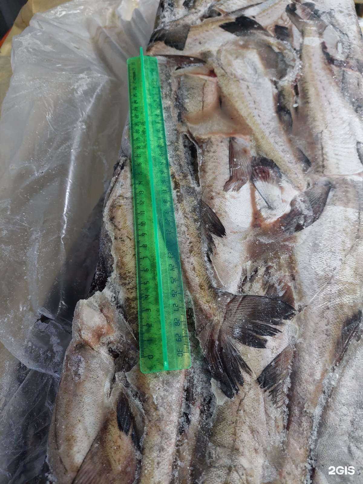 Отзывы на компанию Синяя вечность в Екатеринбурге c фото